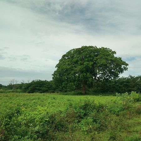 Nature Kingdom Botanical Garden Villa Hambegamuwa Exterior photo