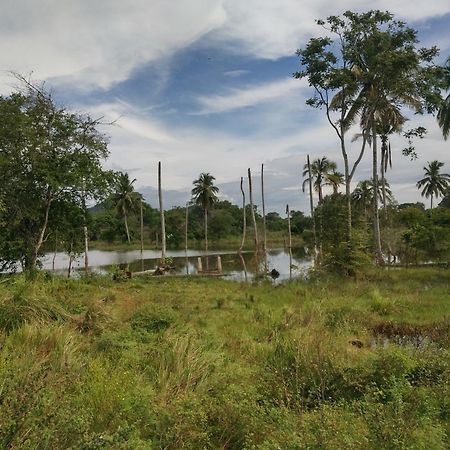 Nature Kingdom Botanical Garden Villa Hambegamuwa Exterior photo