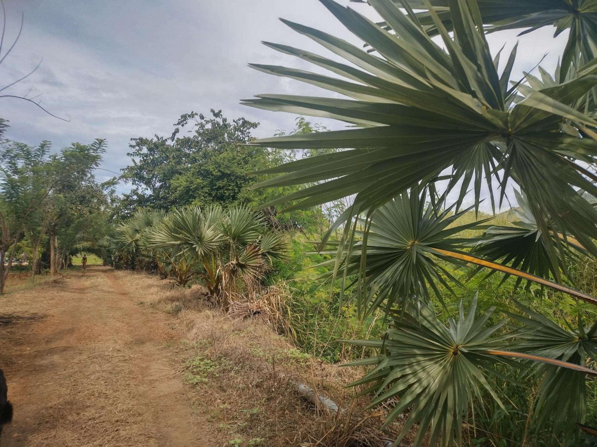 Nature Kingdom Botanical Garden Villa Hambegamuwa Exterior photo