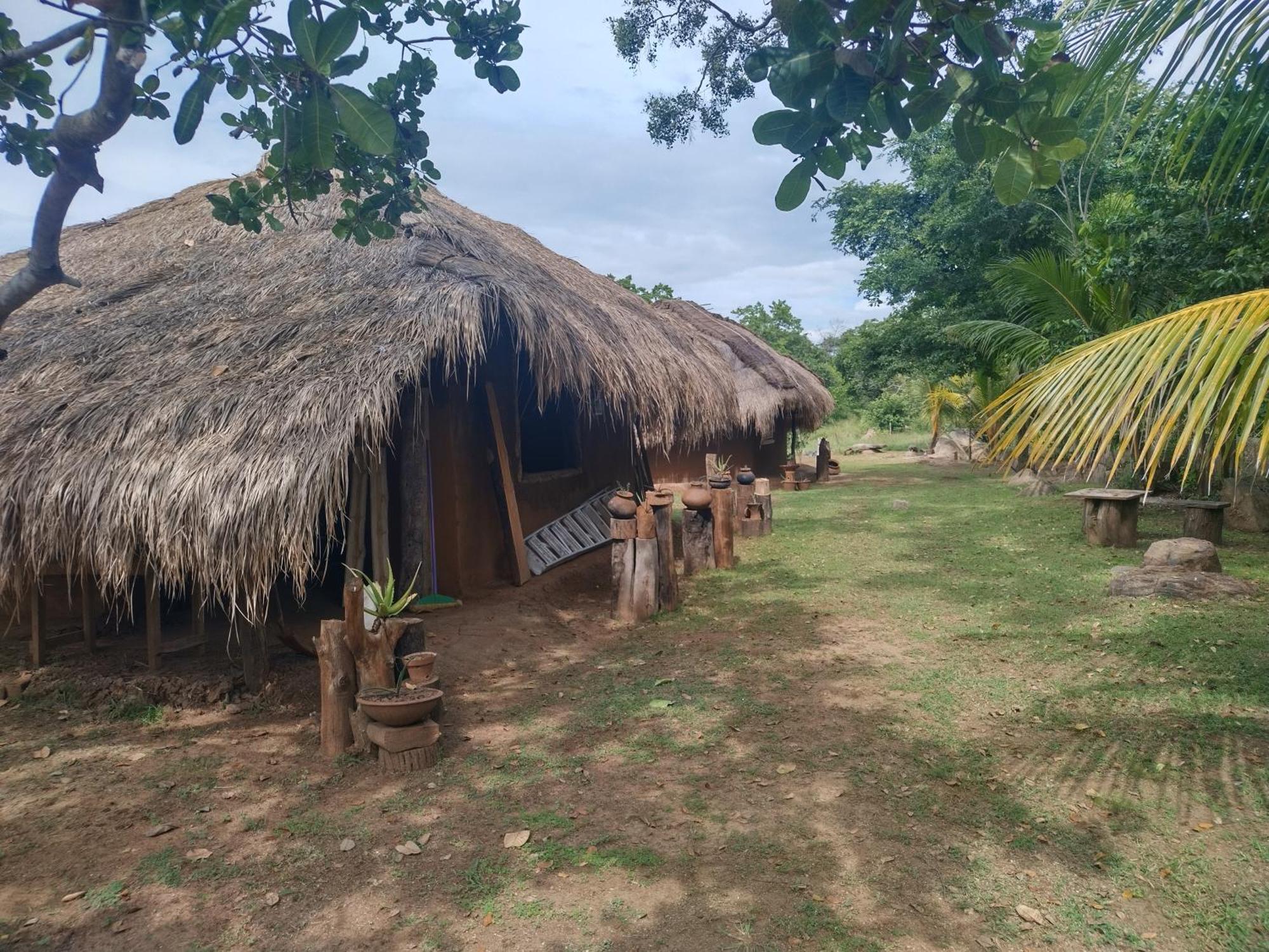 Nature Kingdom Botanical Garden Villa Hambegamuwa Exterior photo