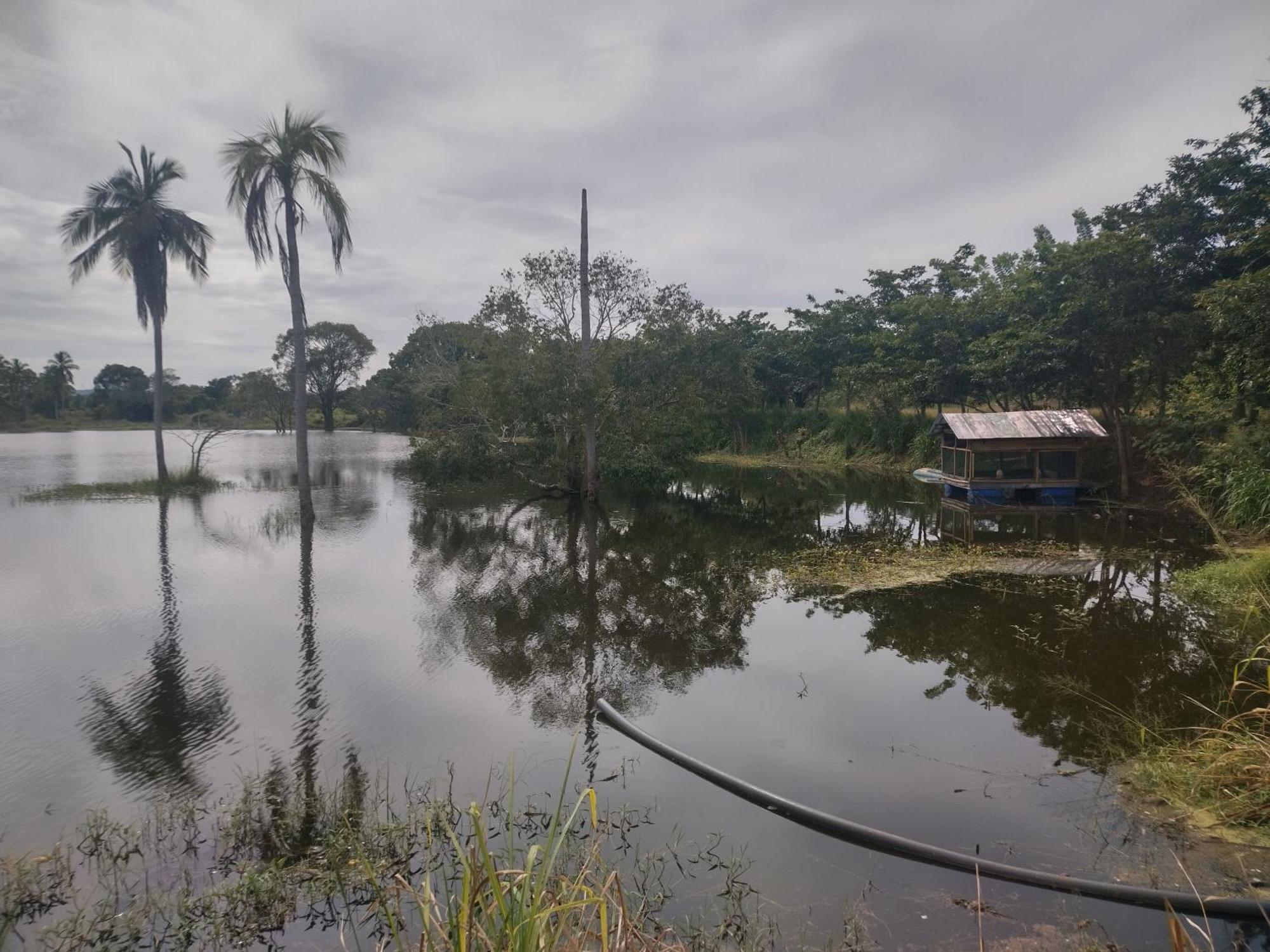 Nature Kingdom Botanical Garden Villa Hambegamuwa Exterior photo